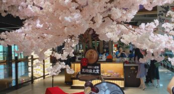 台湾なのに日本の江戸時代忍者屋敷を味わえる！お菓子工場「手信坊霧隠城」