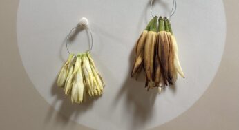 自然の香水/芳香剤！台湾の路上販売で出会える「玉蘭花」(ユーランファー)とは　